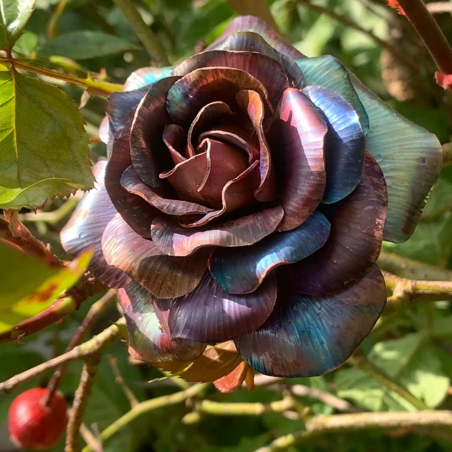 Copper Rose Workshop