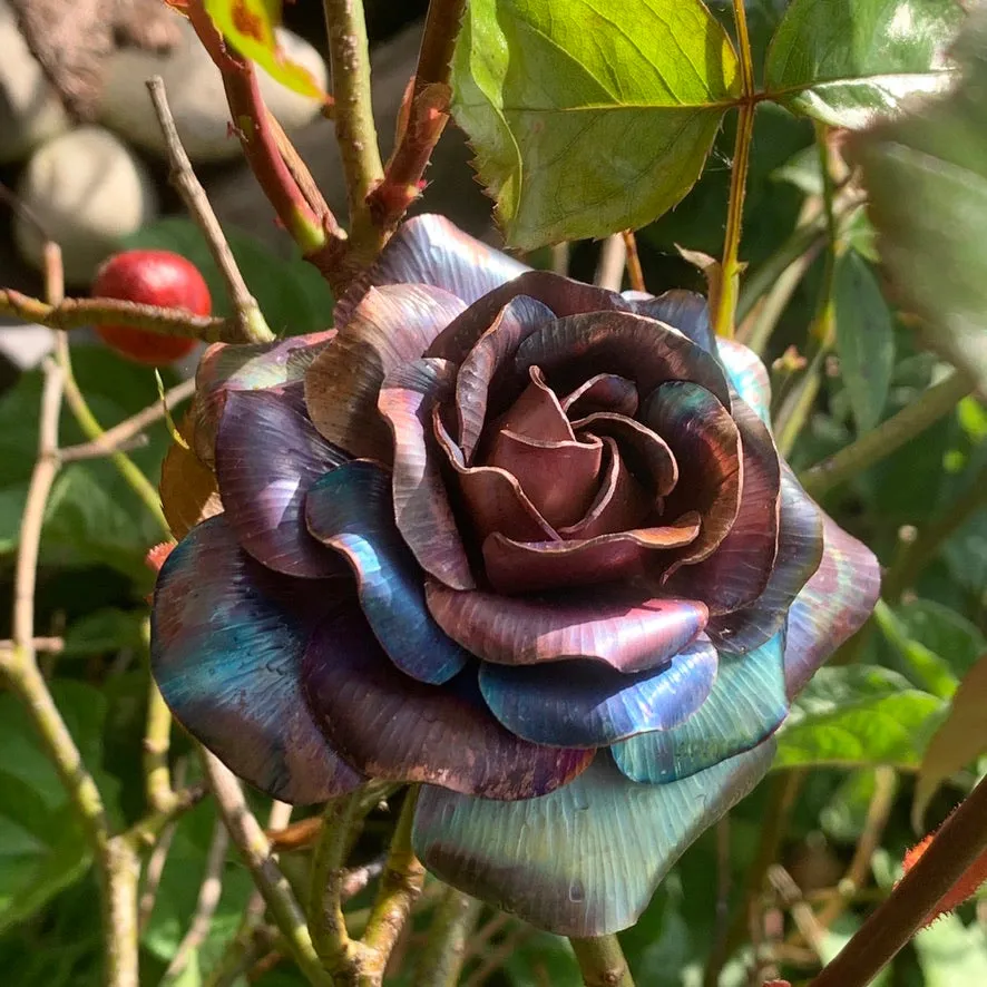 Copper Rose Workshop