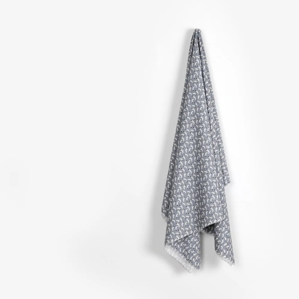 Liberty Piccadilly Poplin - Flying Start / A
