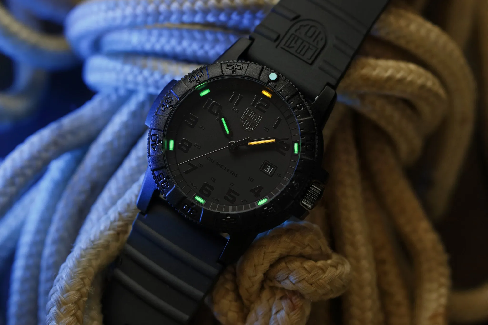 Luminox SEA Turtle Giant XS.0321.L