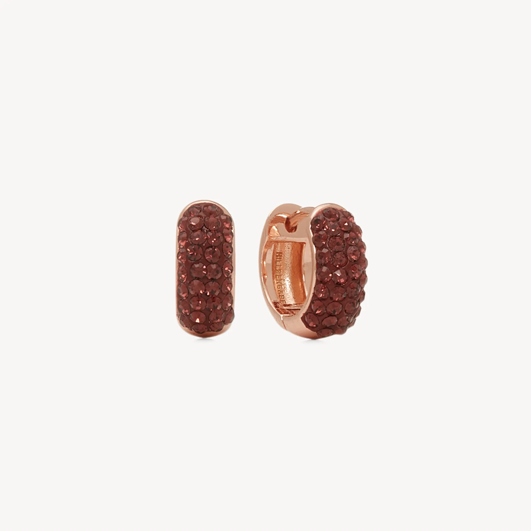 Mini Sparkle Hoop Earrings
